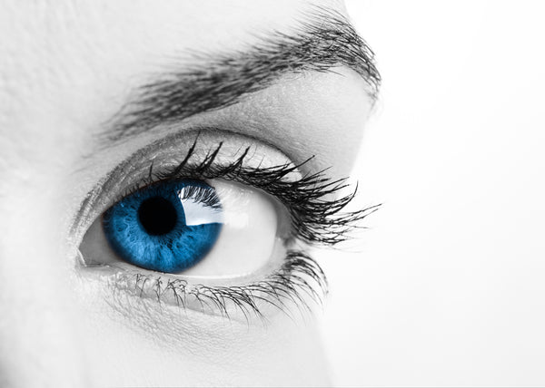 Vision Supplement Ingredients Eye Experts Absolutely Love